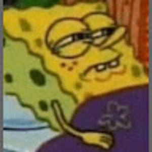 Meet your Posher, Rosa